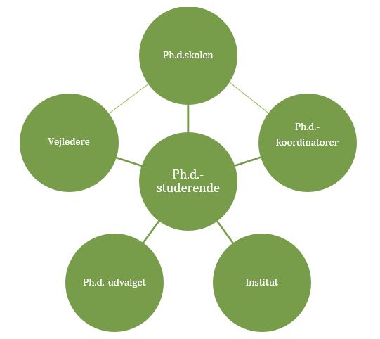 Oversigt over ph.d.-struktur på SAMF