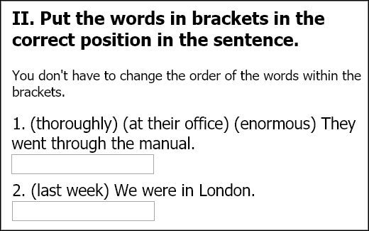 SurveyXact: Open Question