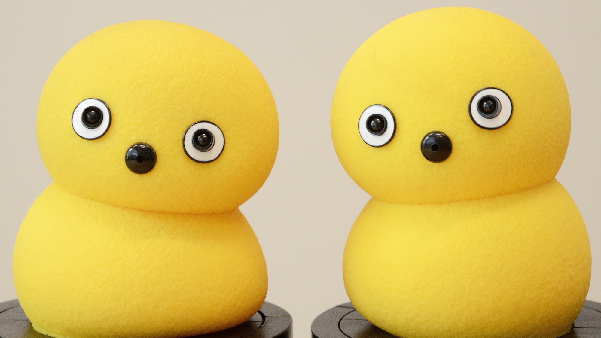 My Keepon robots can move and react to sound sources like talking humans