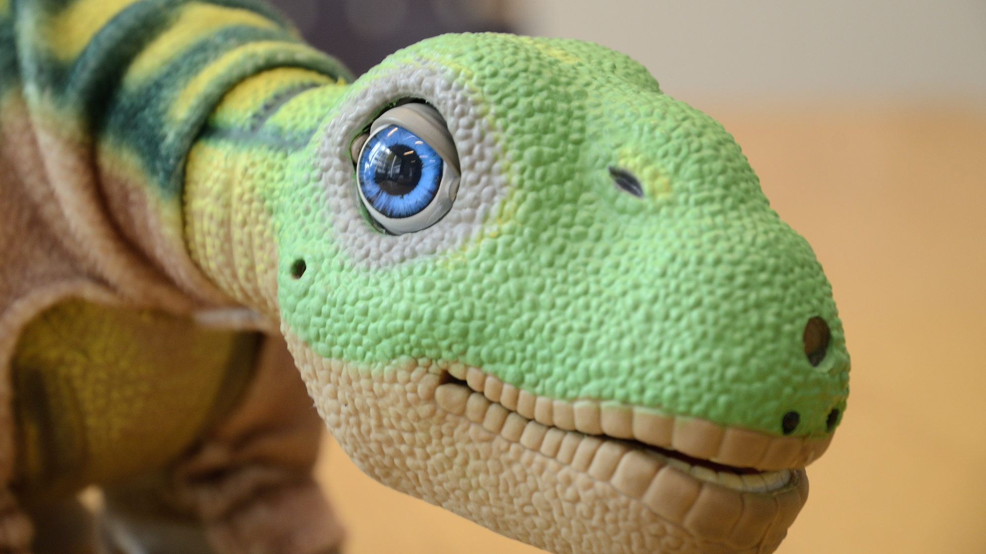 A Pleo robot has large, expressive and movable eyes.