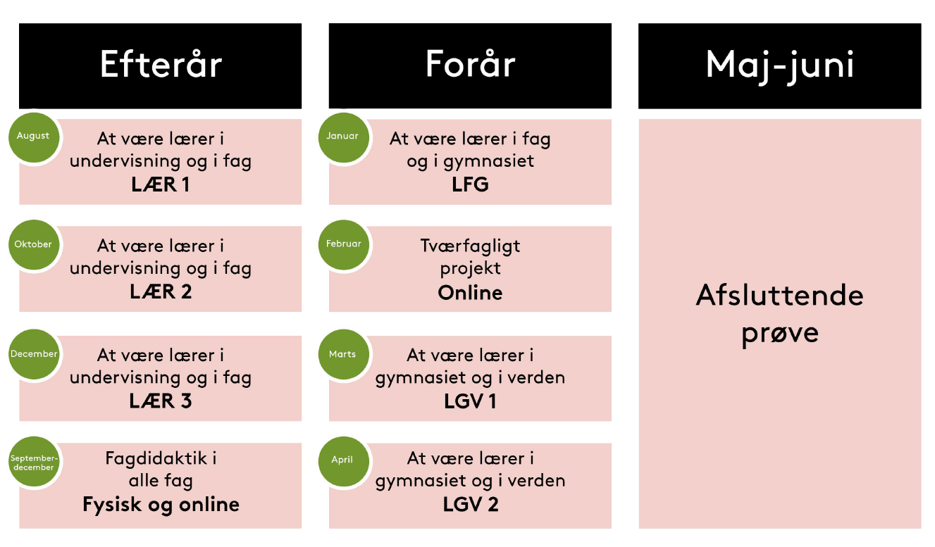 Oversigtskema over studieforløbet på Teoretisk Pædagogikum