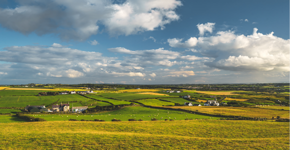 Rural Village