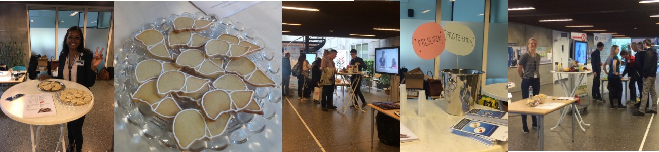 FLASH på Forskningens Døgn 2019
