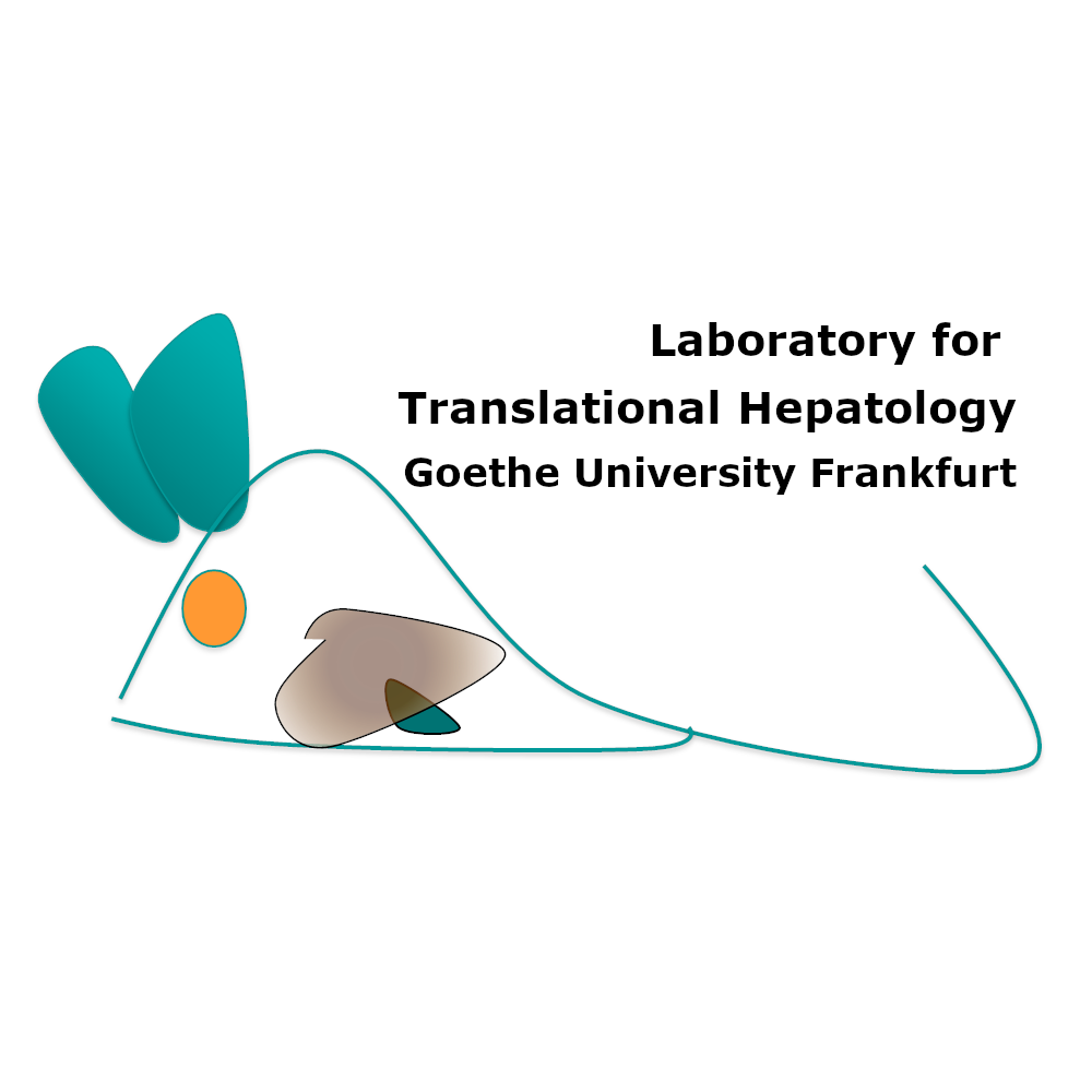 Laboratory for Translational Hepatology Goethe University Frankfurt logo TransHep logo
