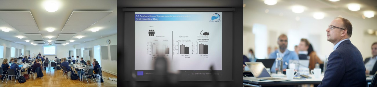 Animal models fatty liver ALD