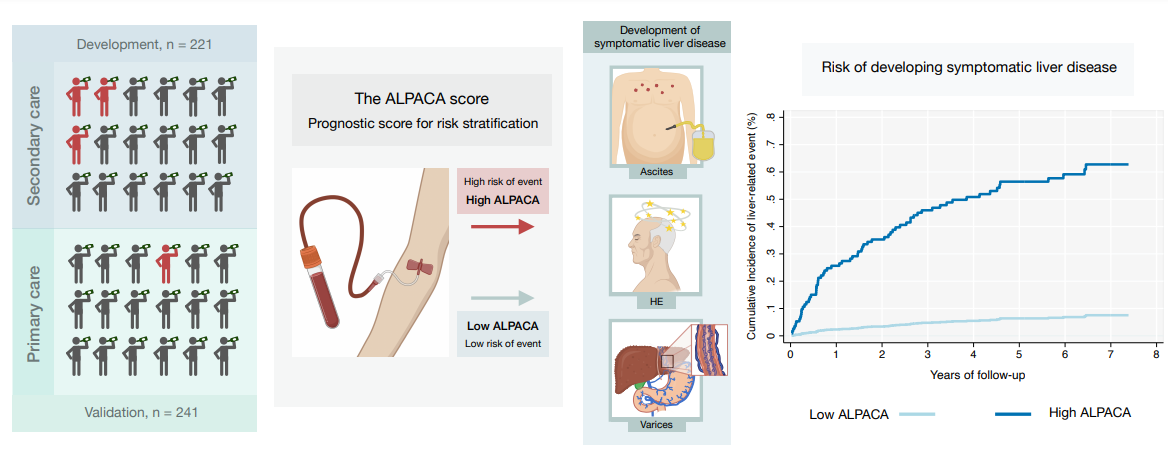 Grafical abstract from the article on the ALPACA-score