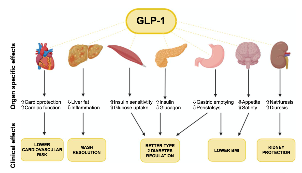 glp-1 for obesity prairieville GIP And GLP-1 Monthly Weight Loss Program