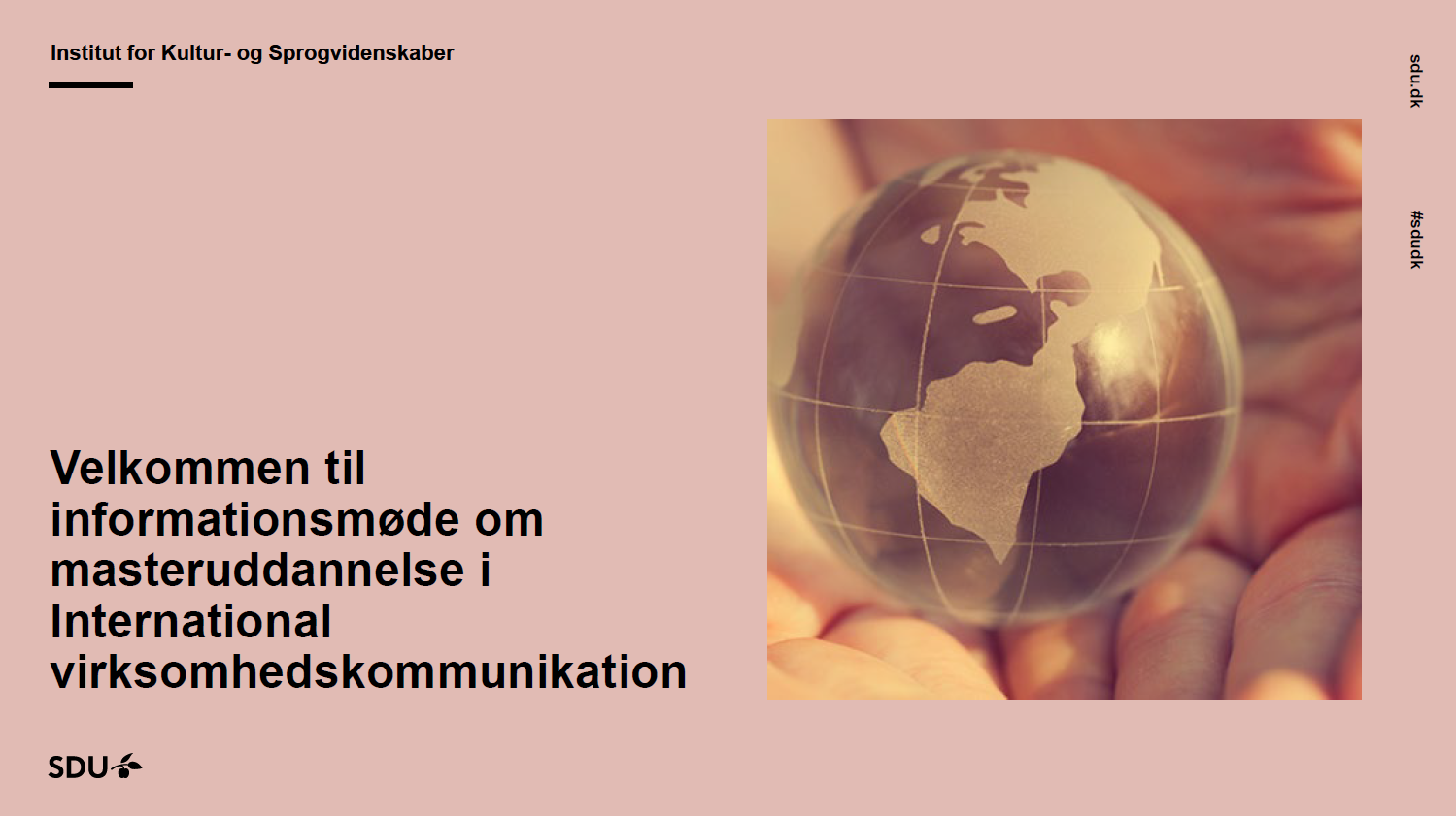 Præsentation online infomøde E2025