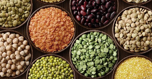 Image of different legumes and beans