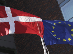 Billede af dansk flag og EU flag
