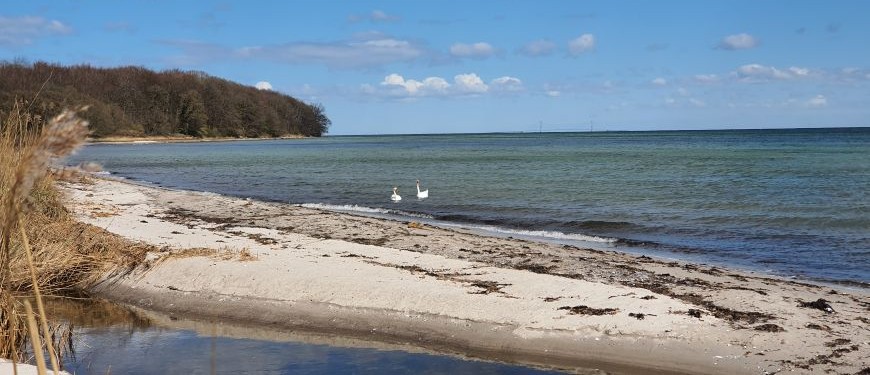 Coastal Wetland Vejrup Å