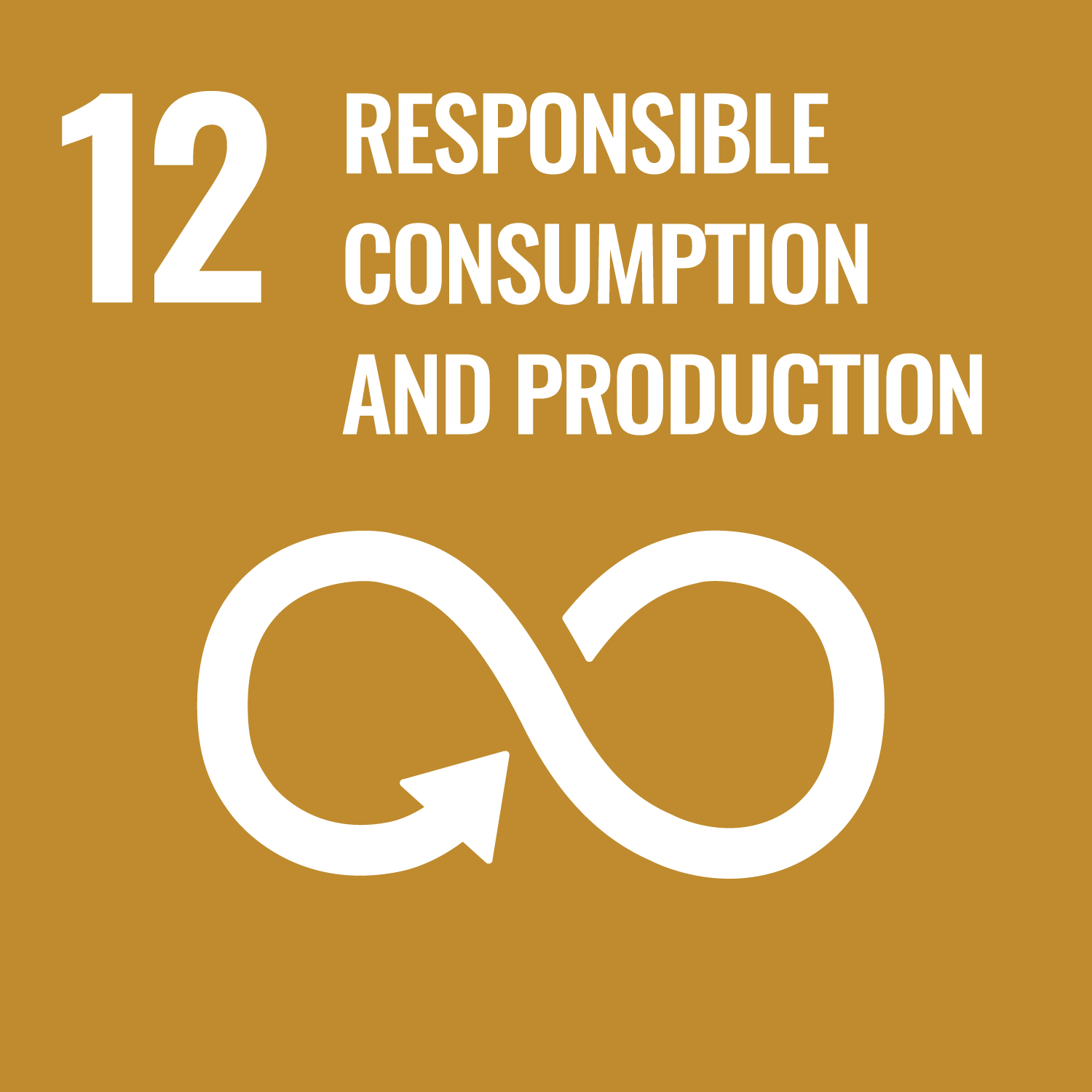 SDG icon #12: responsible consumption and production
