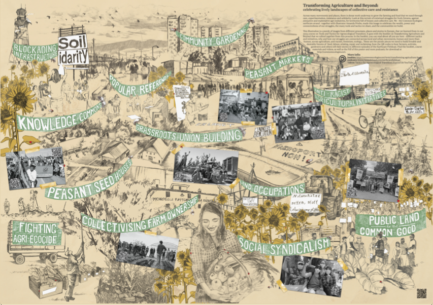 Illustrated activist poster about agriculture, land justice, and collective organizing, featuring banners, archival photographs, sunflowers, and text including “Transforming Agriculture and Beyond: celebrating lineages of collective care and resistance.”