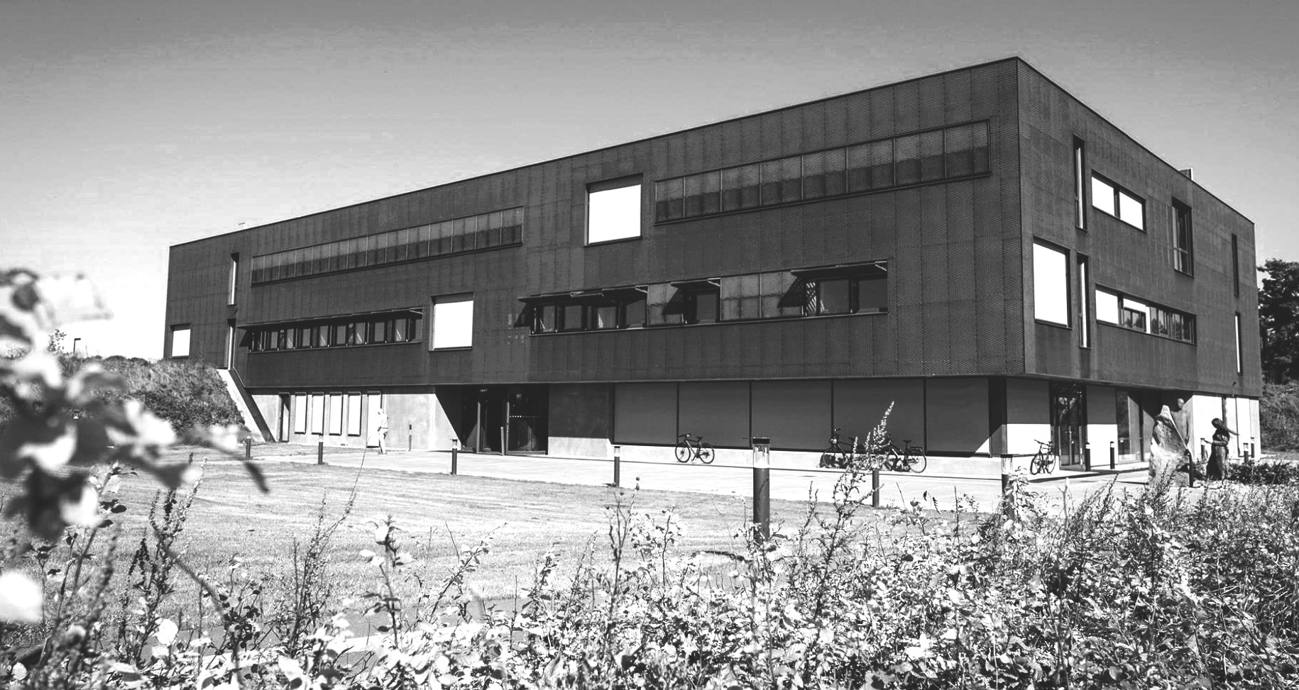 Black and white picture of the DIAS building