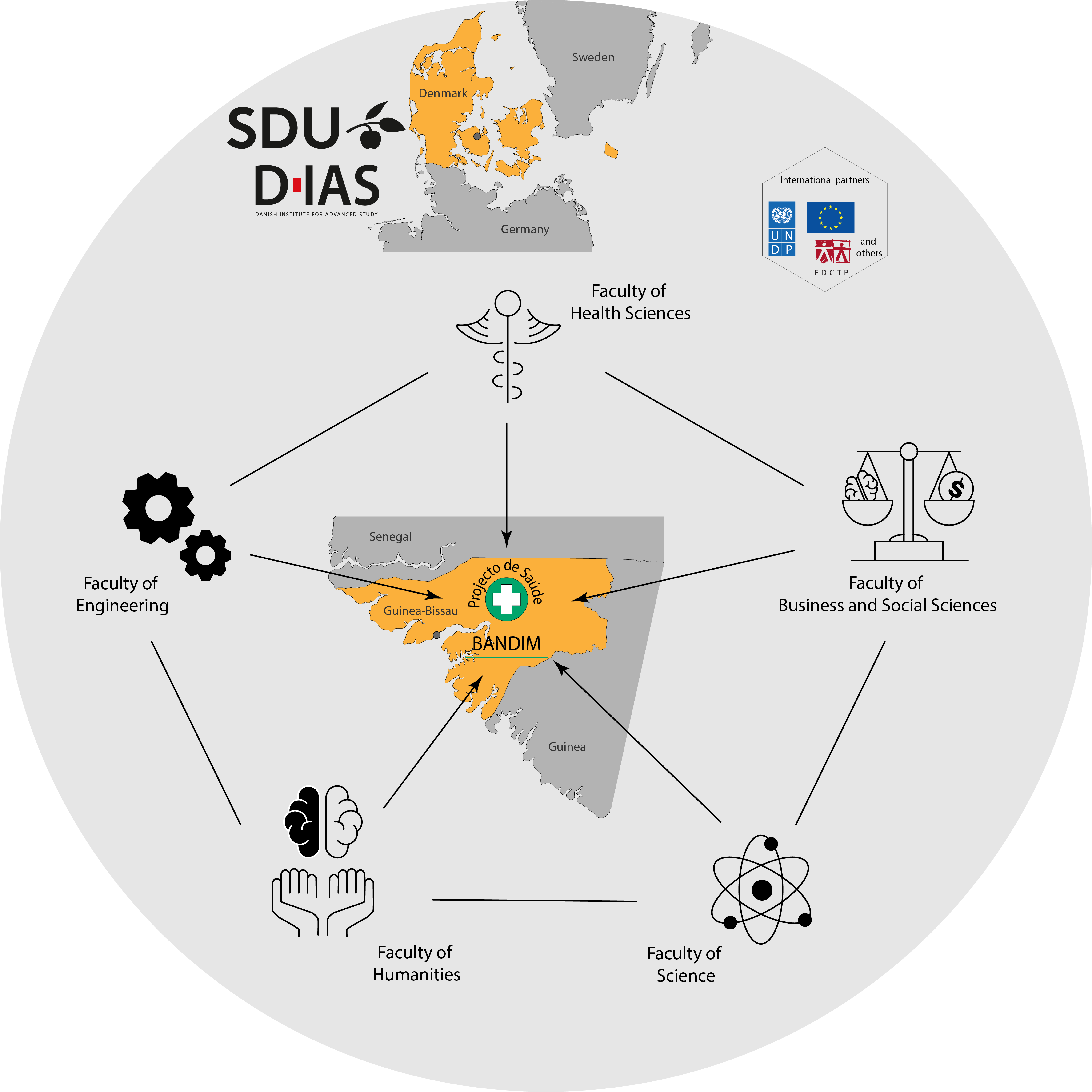 Map showing Denmark and Guinea-Bissau with arrows connecting Bandim in Guinea-Bissau to various faculties at the University of Southern Denmark (SDU): Health Sciences (caduceus icon), Business and Social Sciences (scales icon), Science (atom icon), Humanities (brain and book icon), and Engineering (gears icon). Logos of SDU, DIAS (Danish Institute for Advanced Study), and UNDP (United Nations Development Programme) are displayed at the top