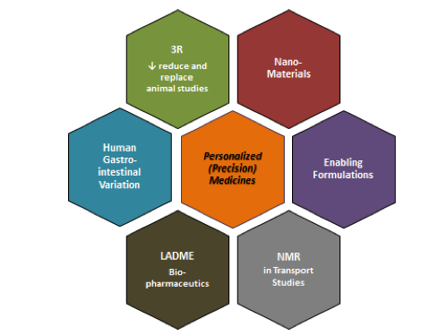 Six connected colored hexagons labeled “3R ↓ reduce and replace animal studies”, “Nano-Materials”, “Human Gastro-intestinal Variation”, “Personalized (Precision) Medicines”, “Enabling Formulations”, “LADME Bio-pharmaceutics”, and “NMR in Transport Studies”.
