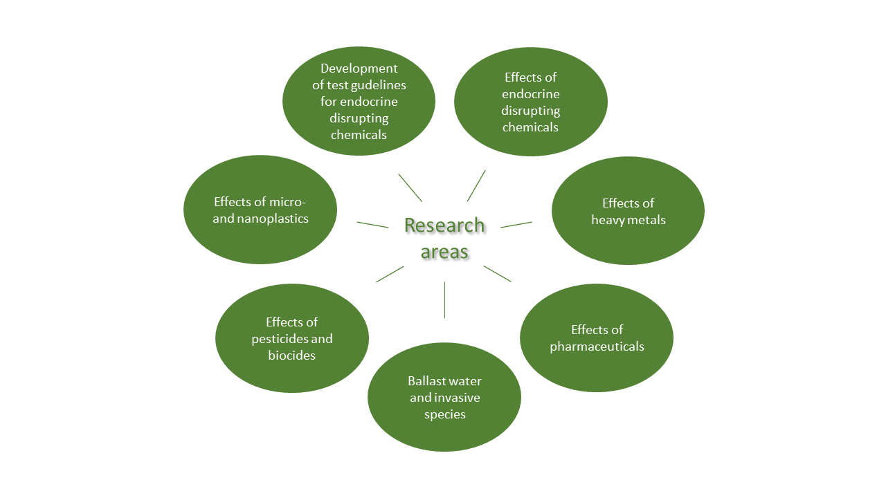 Diagram of research areas