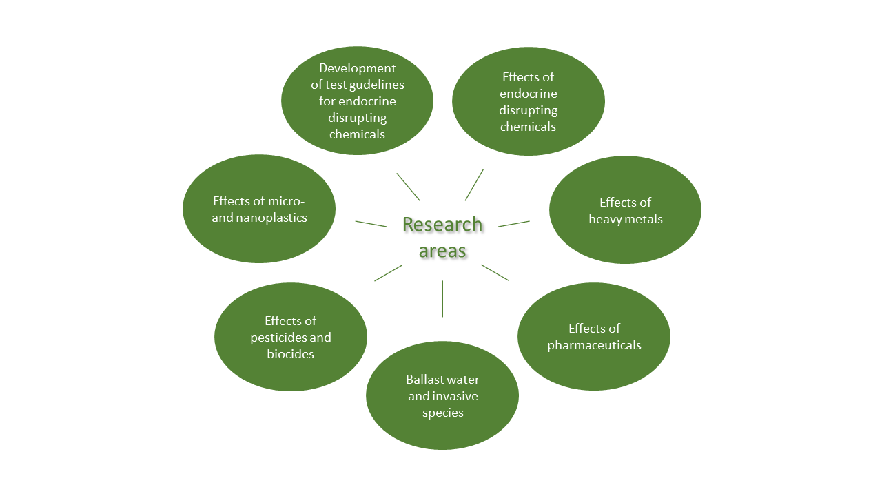 Research areas diagram on environmental effects and test guidelines Diagram of research areas