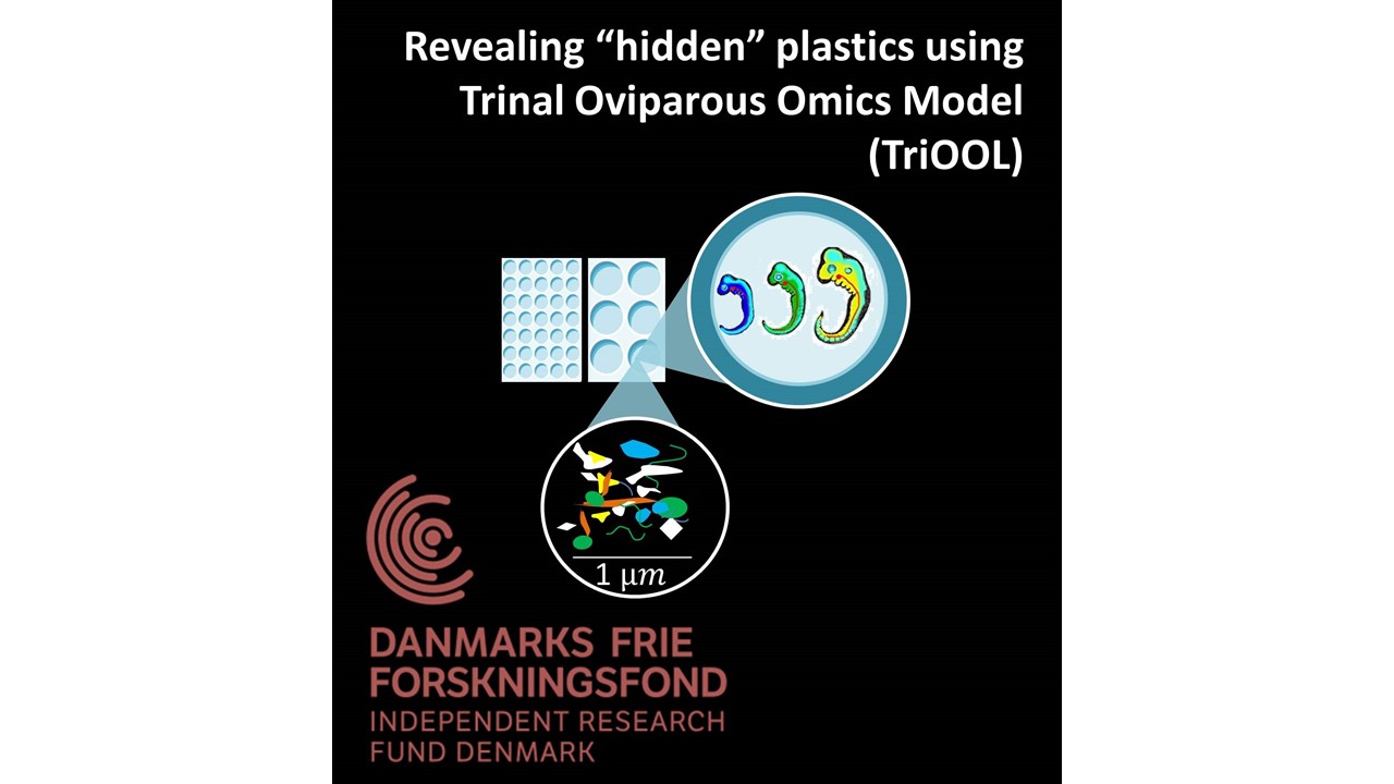 TriOOL project graphics