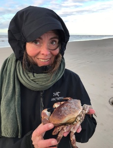 Karen Bollingberg, ph.d.-stipendiat, står ved havet med en krabbe i hænderne