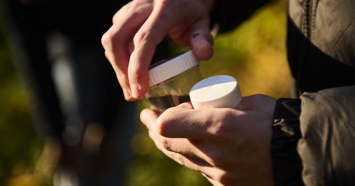 Have og planter – jordbundsprøve