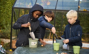 Børn arbejder med planter i haven