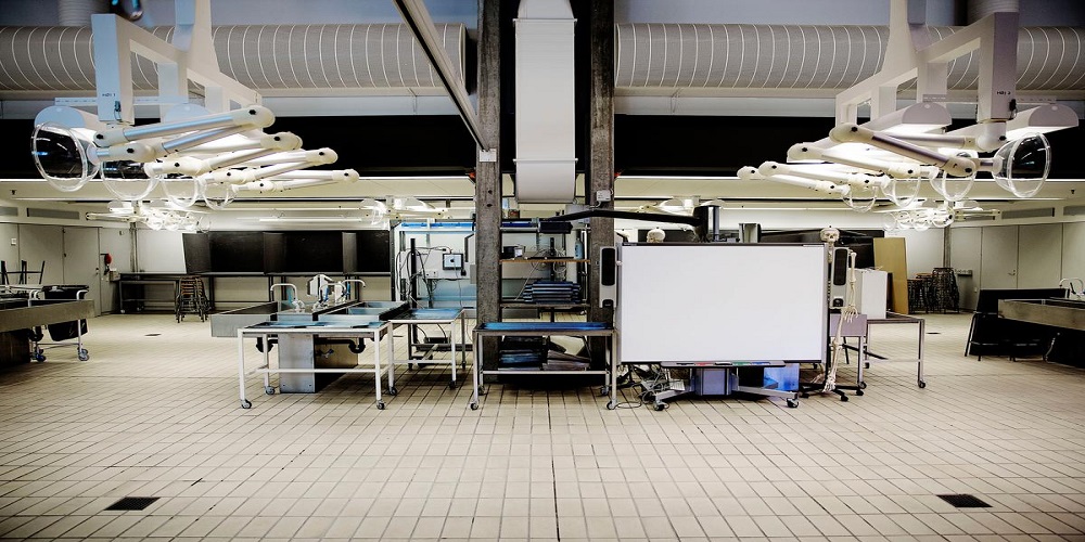 Med retsmedicineren på arbejde