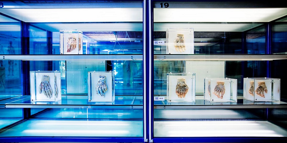 De døde hjælper de levende