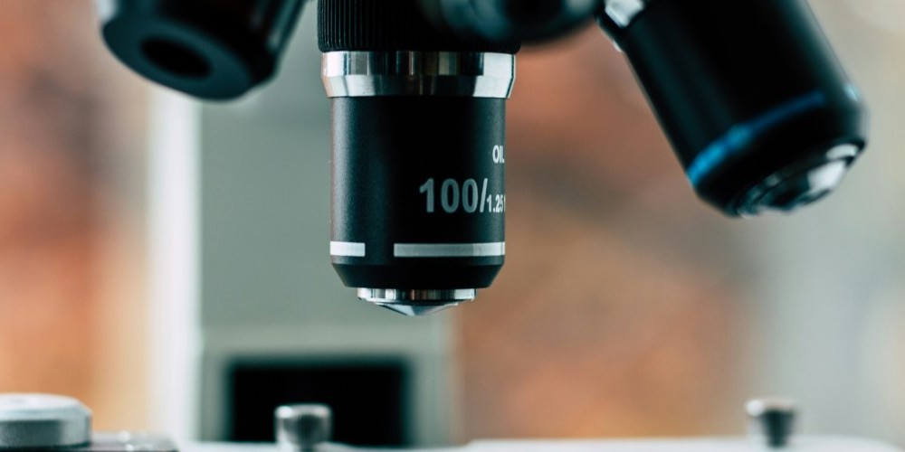 Den mikroskopiske rejse op ad livets træ