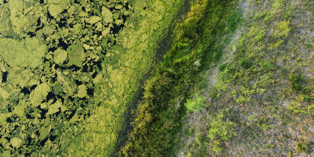 Droner i naturens tjeneste