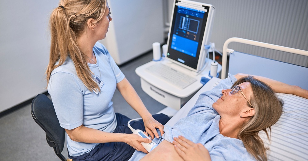 Hvad laver en lever?