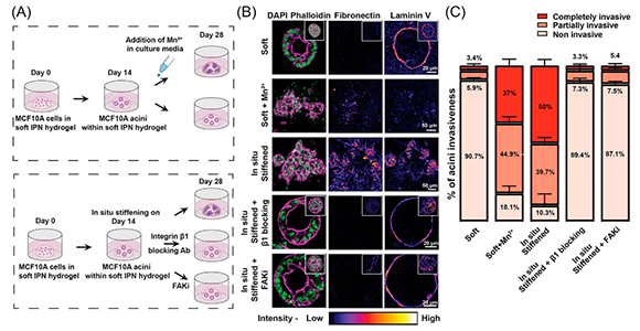 Excerpt from figure from article