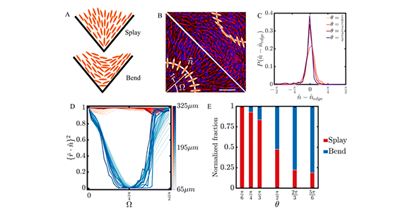 Graphical abstract til artikel