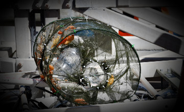 Two cylindrical wire mesh traps with orange floats stacked among white beams and equipment.