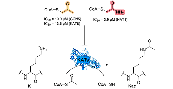 Graphical abstract from article 