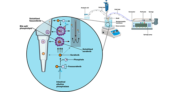 Grafisk abstract af artikel i boksen