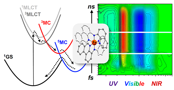 Graphical abstract for article