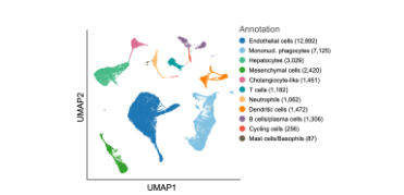 data_resources_clicker