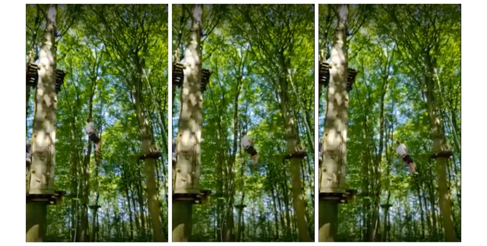 Ravnskjaer lab tree climbing 2018