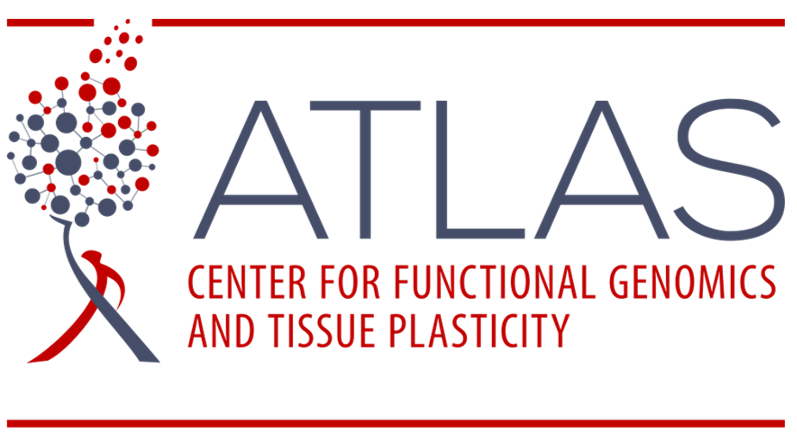 Logo for Center for functional genomics and tissue plasticity ATLAS