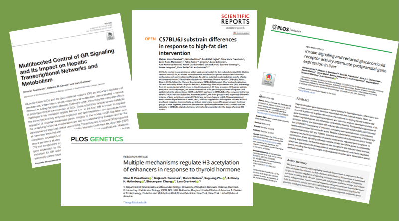 Grøntved group publications