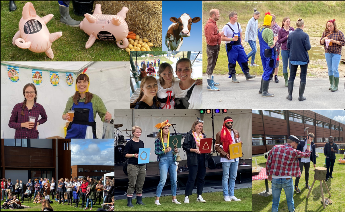 Bring Me Back Festival 2021 photo collection