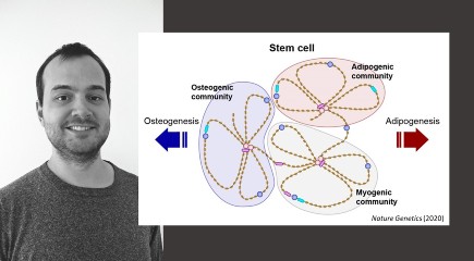 Madsen et al., Nature Genetics 2020