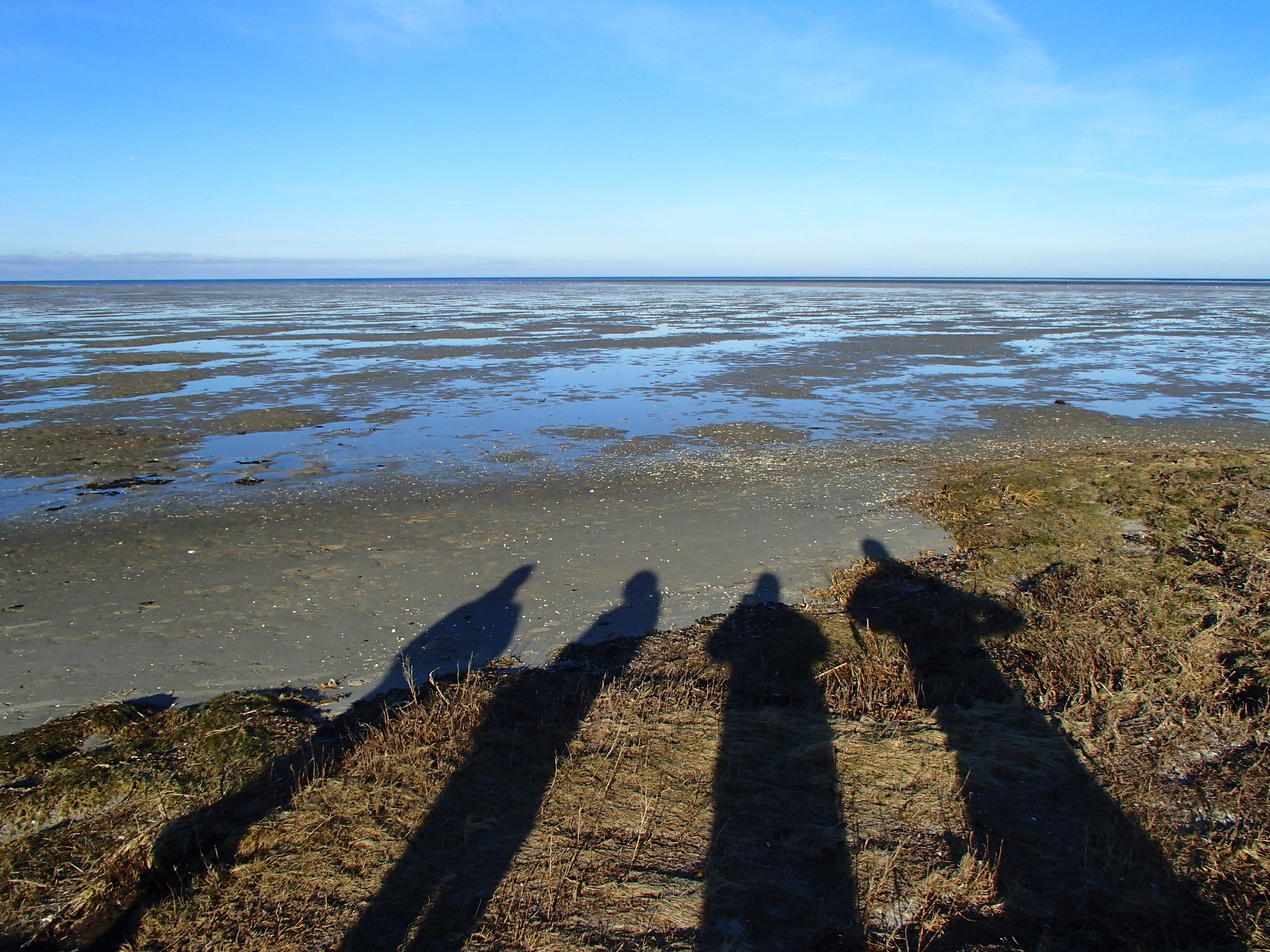 Long shadows of four people on a grassy shoreline beside shallow water and tidal flats under a clear blue sky at Kattegat.