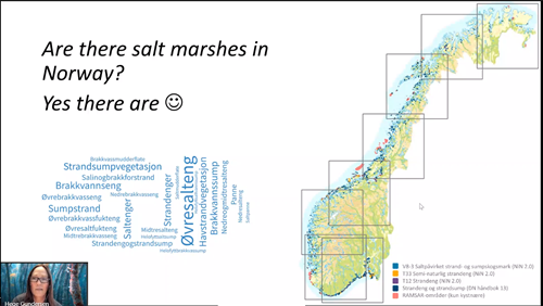 Nordic Council of Ministers Conference on Salt Marshes