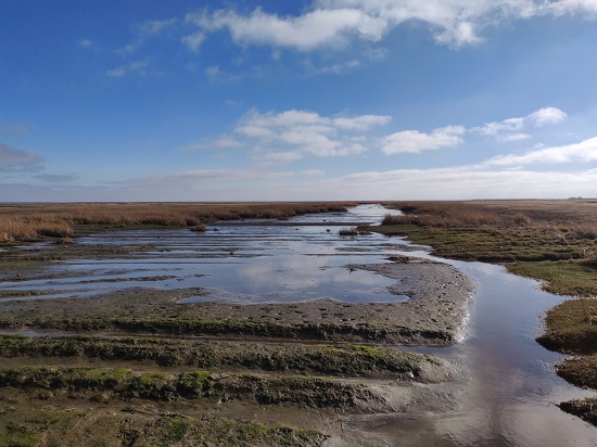 Taken day 1 of project in Denmark by Franziska Eller