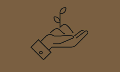 Icon of hand with small pile of dirt and plant growing from it, SDU