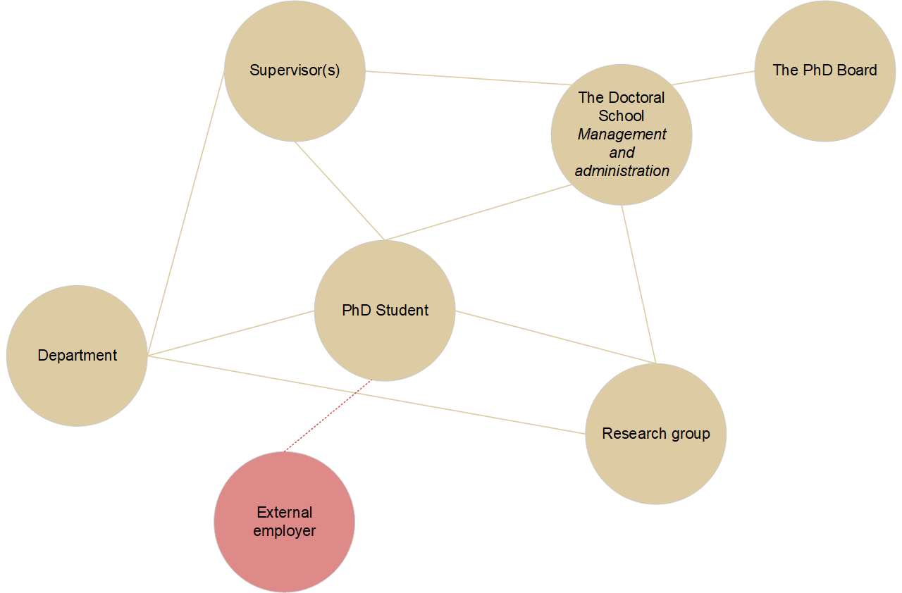 Diagram of your role as PhD student at SDU