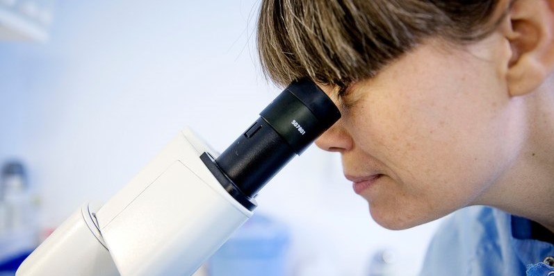 20160530_SDUsite_SUND28.jpg Health research