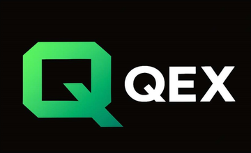 Logo of The Quantum Excellence Center